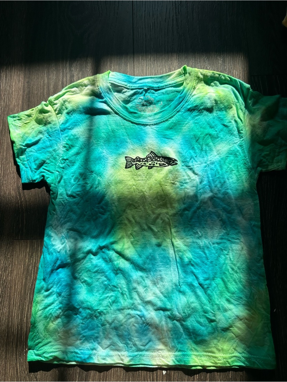 Fruit of the Loom Tie-Dye Fish Tee - Blue & Green